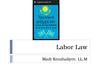 Labor law. (Lecture 3)