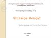 Что такое янтарь. Месторождения янтаря