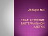 Строение бактериальной клетки