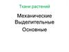 Ткани растений. Механические. Выделительные. Основные