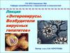 Энтеровирусы. Возбудители вирусных гепатитов