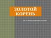 Золотой корень. История и применение