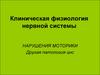 Клиническая физиология нервной системы
