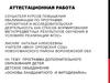 Аттестационная работа. Программа дополнительного образования детей детское объединение «основы ландшафтного и фитодизайна»