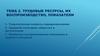 Трудовые ресурсы, их воспроизводство, показатели (экономика труда, лекция 3)