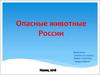 Опасные животные России