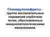 Гломерулонефриты. Строение гломерулярной мембраны