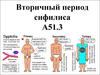 Вторичный период сифилиса