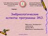 Эмбриологические аспекты программы ЭКО