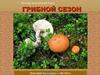Детская электронная книга. Грибной сезон