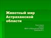 Животный мир Астраханской области