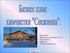 Бизнес-план химчистки «Снежинка»