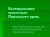 Вымирающие животные Пермского края