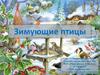 Зимующие птицы