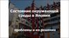 Состояние окружающей среды в Японии: проблемы и их решение