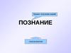 Познание. Гносеология