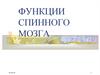 Функции спинного мозга