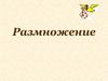 Бесполое и половое размножение. Мужская и женская половые системы