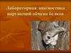 Лабораторная диагностика нарушений обмена белков