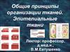 Общие принципы организации тканей. Эпителиальные ткани
