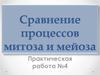 Сравнение процессов митоза и мейоза