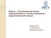 Организационные основы социальной работы с семьей, оказавшейся в трудной жизненной ситуации