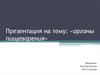 Органы пищеварения