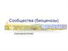 Сообщества (биоценозы)