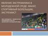 Профилактика экстремизма в молодежной среде. Фанат, спортивный болельщик, экстремист