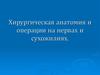 Хирургическая анатомия и операции на нервах и сухожилиях