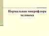 Нормальная микрофлора человека