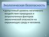 Экологическая безопасность