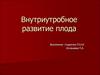 Внутриутробное развитие плода