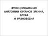 Функциональная анатомия органов зрения, слуха и равновесия