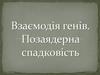 Взаємодія генів. Позаядерна спадковість