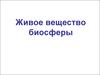 Живое вещество биосферы