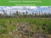 Сукцессии. Завершенность. Закономерности