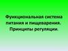 Функциональная система питания и пищеварения. Принципы регуляции