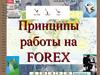 Принципы работы на Forex