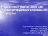 Молодежная наркомания, как фактор разрушения социальной структуры
