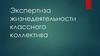 Экспертиза жизнедеятельности классного коллектива