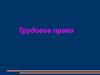 Трудовое право. Декларация прав и свобод человека и гражданина
