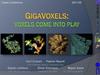 GigaVoxels. Voxels come into play