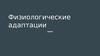 Физиологические адаптации