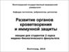 Развитие органов кроветворения и иммунной защиты