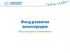 Фонд развития моногородов