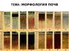 Морфология почв