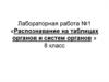 Распознавание на таблицах органов и систем органов 8 класс