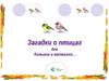 Загадки о птицах для больших и маленьких