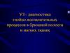 УЗ - диагностика гнойно-воспалительных процессов в брюшной полости и мягких тканях